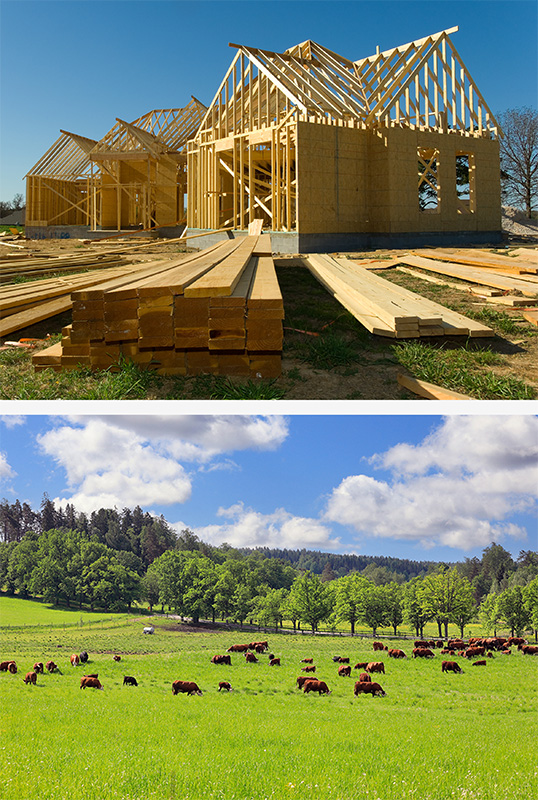 A collage of a house under construction and a grassy field with a herd of cattle.